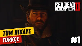 Red Dead Redemption 2 Hikayesi Türkçe - Bölüm 1 | RDR Oyun Hikayesi Serisi