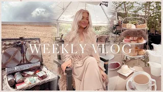 WEEK IN THE LIFE | beach picnics, afternoon tea, mums birthday prep & home interior haul ✨