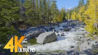 4K River Autumn Relaxation - Wenatchee River from Icicle Creek Road, WA - 3 hours