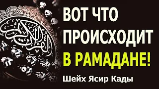 Вот что происходит в Рамадане! Ясир Кады