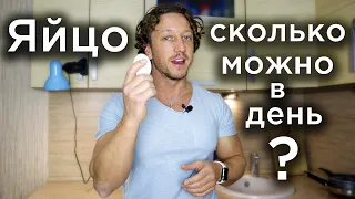 ЯЙЦО. Сколько МОЖНО в ДЕНЬ?