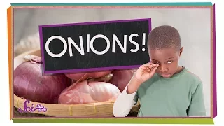 Why Do Onions Make Me Cry?