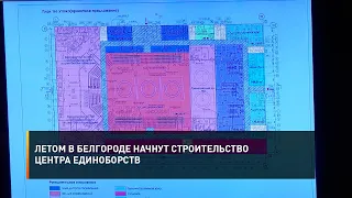 Летом в Белгороде начнут строительство Центра единоборств