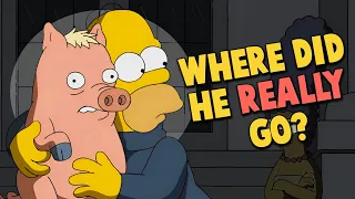 What Happened to Spider Pig After The Simpsons Movie?