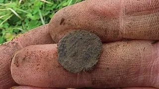 1,700 Years Old Roman Coin Found!