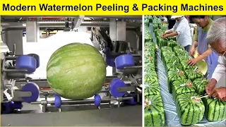 This watermelon production shocked the world. Incredible watermelon factory processing technology