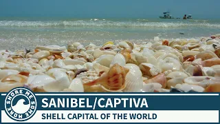 Sanibel Island and Captiva Island, Florida - Things to Do and See When You Visit