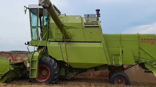 Żniwa 2021! CLAAS MERCATOR 60& ZETOR 7211