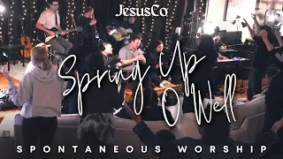 Spring Up O Well | JesusCo Spontaneous Worship Moment