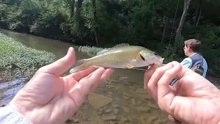 Tennessee Creek Fishing Adventure for Multi Species of Fish 🔥