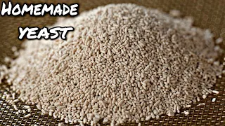 Yeast Making at Home | How to make yeast at home | yeast making in Tamil | easy method