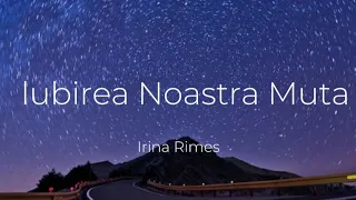 Irina Rimes - Iubirea Noastră Muta-(Versuri/Lyrics Video)