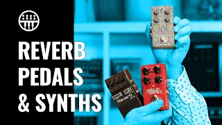 Synths and Reverb Pedals | Thomann