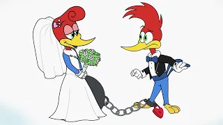 1 Hour of Woody Woodpecker | Woody Doesn't Want to Get Married + More Full Episodes