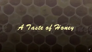 A Taste of Honey（蜜の味） ジュリー・ロンドン 日本語詞で cover #030（歌詞付）