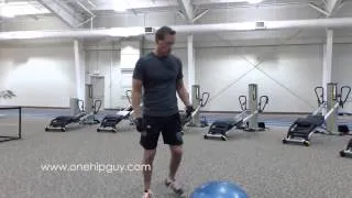 Hip Replacement Exercises bosu ball