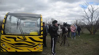 Два брата -льва Чип и Дейл воссоединились  в Саванне !