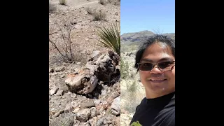 Burro Creek Rockhounding