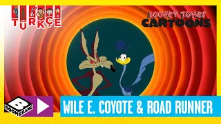 SEVİMLİ KAHRAMANLAR HİKAYELER | Wile E. Coyote ve Road Runner | Boomerang TV Türkiye