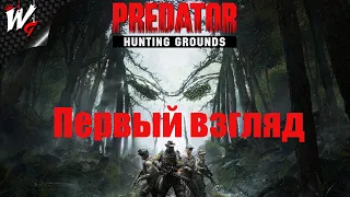 ХИЩНИК: ОХОТНИЧЬИ УГОДЬЯ ▷ Predator: Hunting Grounds Первый взгляд [PS4] [DEMO]