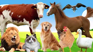 Cute little Farm animals: Eagle, Cow, Horse, Hen, Dog, Cat,Lion. #animals #animalsounds