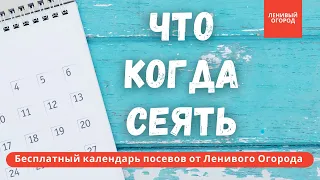 Бесплатный календарь посевов от Ленивого огорода | Когда сеять семена томатов, перцев, лука, петунии