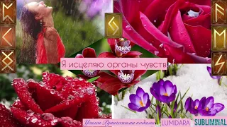 Я ИСЦЕЛЯЮ ОРГАНЫ ЧУВСТВ 🌿🌺🌿 Саблиминал.