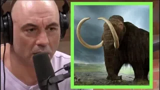 Joe Rogan | Can You Bring Back Extinct Animals?