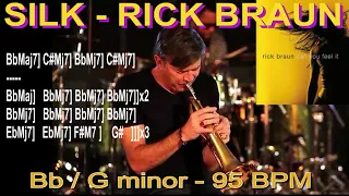 SILK   RICK BRAUN BACKING V1