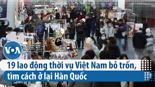 19 lao động thời vụ Việt Nam bỏ trốn, tìm cách ở lại Hàn Quốc | VOA Tiếng Việt