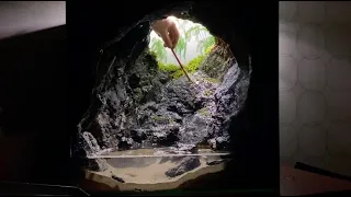 Making a Rainy Cave paludarium