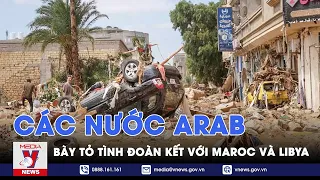 Các nước Arab bày tỏ tình đoàn kết với Maroc và Libya - Tin thế giới - VNEWS