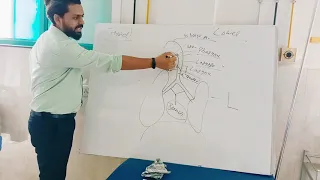 Respiratory system part 1. Anatomy & basics of upper & lower respiratory tract.