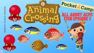 All About ACPC Fish Episode 1!🐙🐠