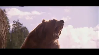 EL OSO de JEAN-JACQUES ANNAUD 1988