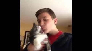 Cat Attacks Vines Compilation-Jack Dytrych (full)