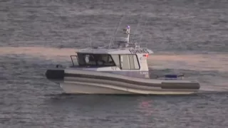 Shark Caught After Attack on Australian Surfer