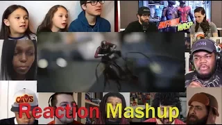 Ant Man and the Wasp Official Trailer REACTION MASHUP