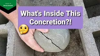 Cracking Open Concretions - Fossils found!