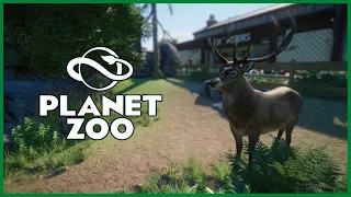 Planet Zoo 🦌 #2 - Der Rothirsch [Deutsch]