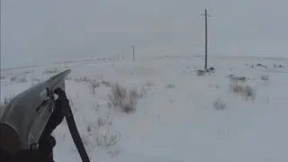 ЗАКРЫЛСЯ ПО ЗАЙЦУ. ЗАЙЦ С ПЕРВОГО ВЫСТРЕЛА ДОБЫТ.ЗАКРЫТИЕ ОХОТЫ НА ЗАЙЦА 2021-2022