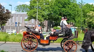 Pferdewagen in Garath