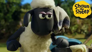 Shaun the Sheep 🐑 Sheep Fight! - Cartoons for Kids 🐑 Full Episodes Compilation [1 hour]