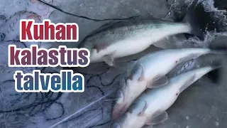 KUHAN KALASTUS TALVELLA || GÖS FISKE || PIKE PERCH FISHING IN WINTER