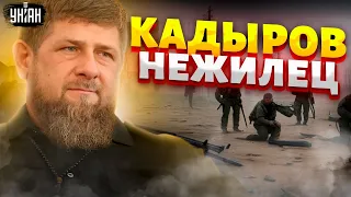 Кадыров НЕЖИЛЕЦ! Рамзан прикован к койке и не оправится. Шойгу ЗАКАЗАЛИ. Нежданная ОТСТАВКА в Кремле