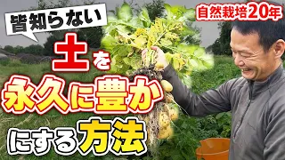 【自然栽培267】土を豊かにする方法紹介！視点を変えたら、気づけることがあるよ。