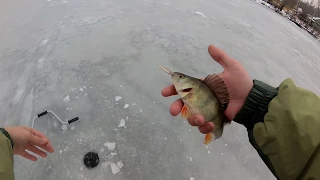 Зимняя рыбалка 2017. Ловля окуня на спортивную блесну. Опоздали на первый лёд.