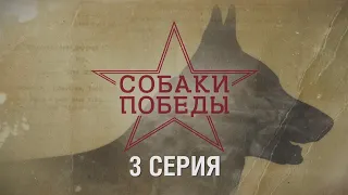 Собаки Победы - документальный сериал о четвероногих бойцах. 3 серия