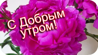 С Добрым утром! 🌸Я желаю счастья море и успехов океан!🌸Good morning!🌸