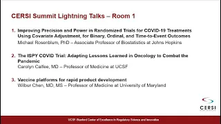 2021 CERSI Summit Lightning Talks Room 1